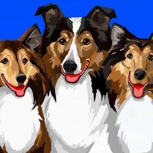 Meet your Posher, Cecilia